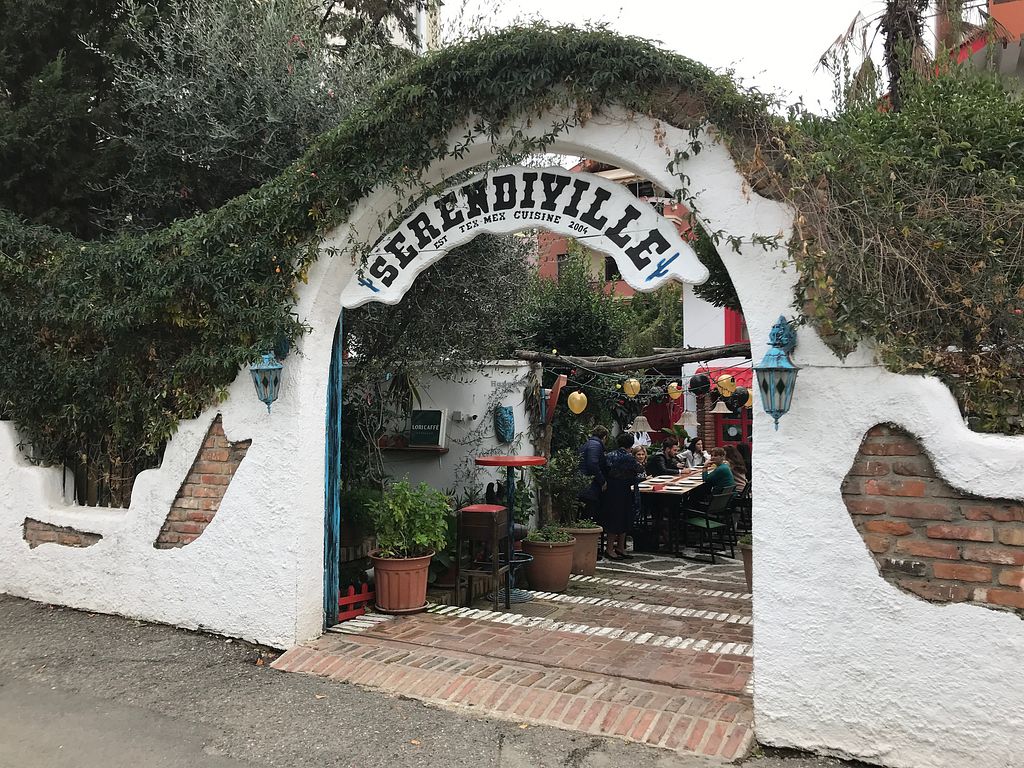 Serendiville Art Café - Best Cafés in Tirana