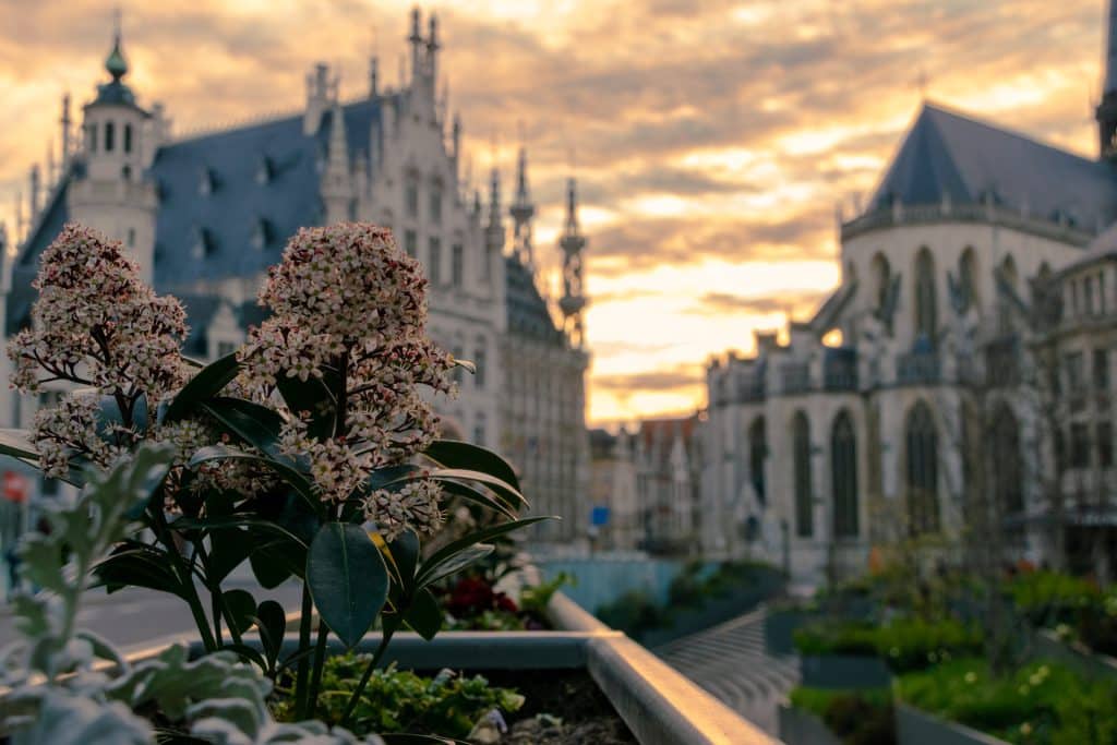 Best Lunch Spots in Leuven with Kids - Leuven, Belgium