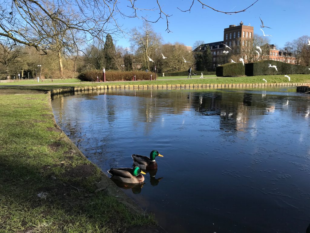 Exploring Leuven with Kids