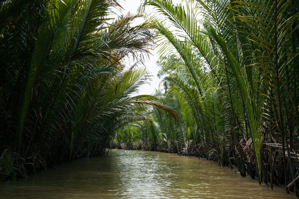 Mekong Delta - Exploring Vietnam's Hidden Gems