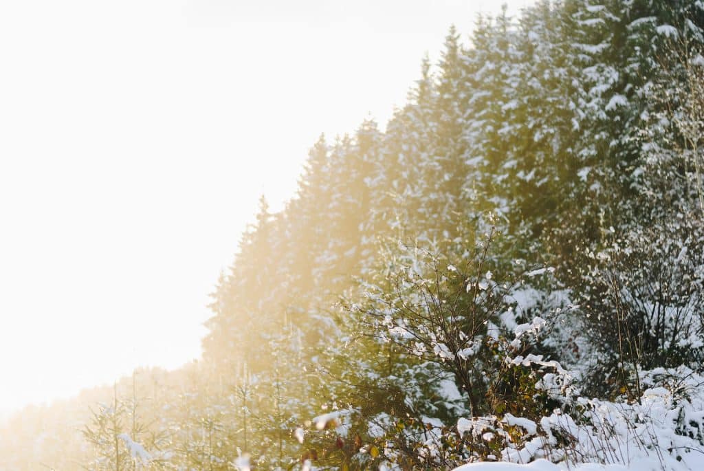 Ardennes - Snow Activities in Belgium