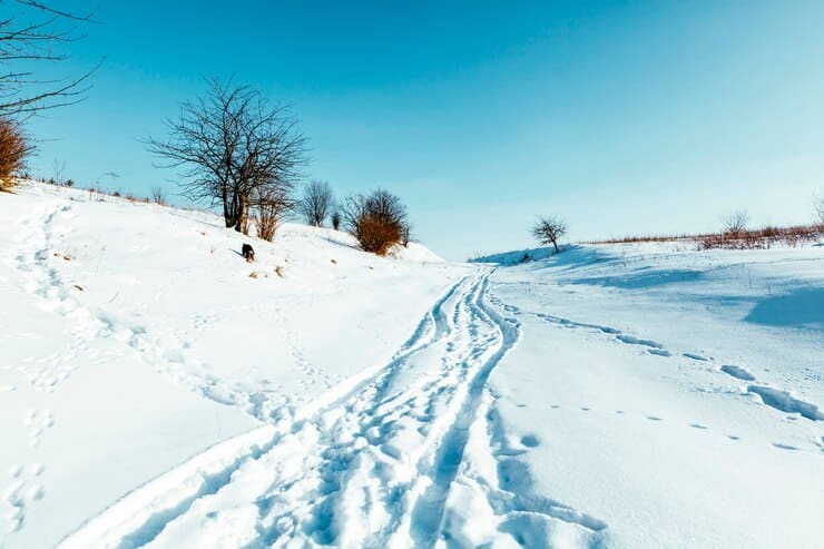 Hautes Fagnes - Snow Activities in Belgium