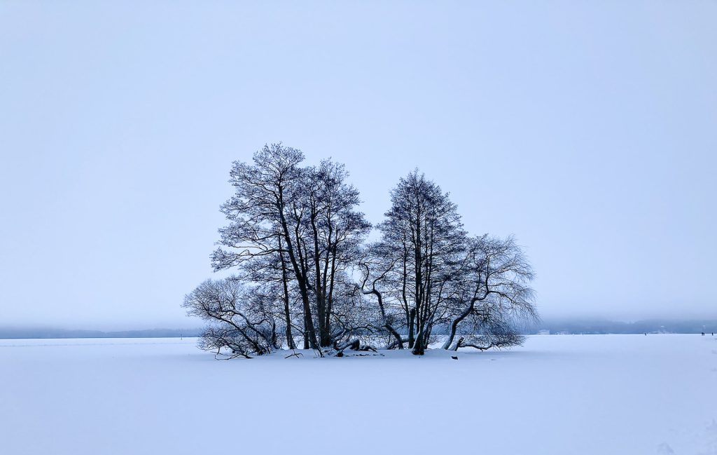 Lake Mälaren - Snow Activities in Sweden and Essential Tips for Your Visit