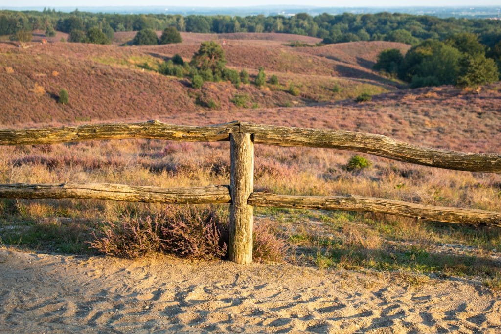 Winter Hiking in Veluwe - Winter Wonderland in the Netherlands