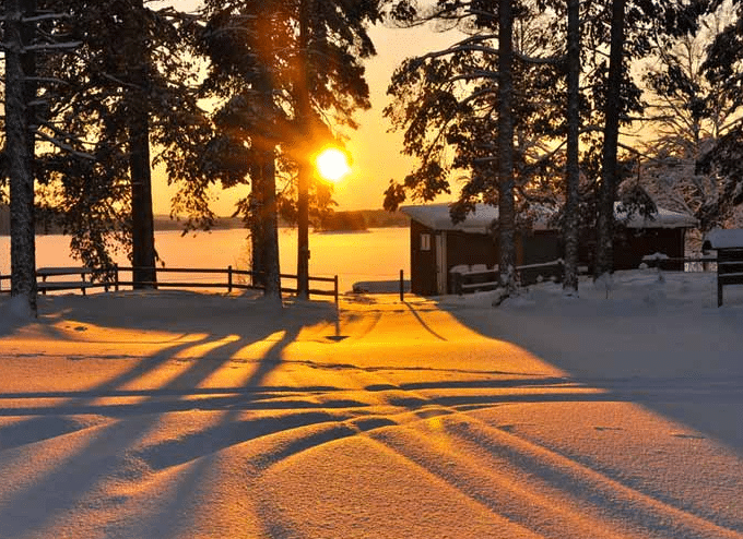 Winter Wildlife Safari in Värmland - Snow Activities in Sweden and Essential Tips for Your Visit